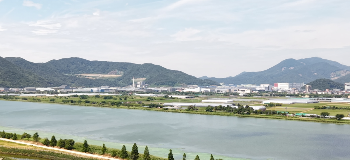 현장 전경